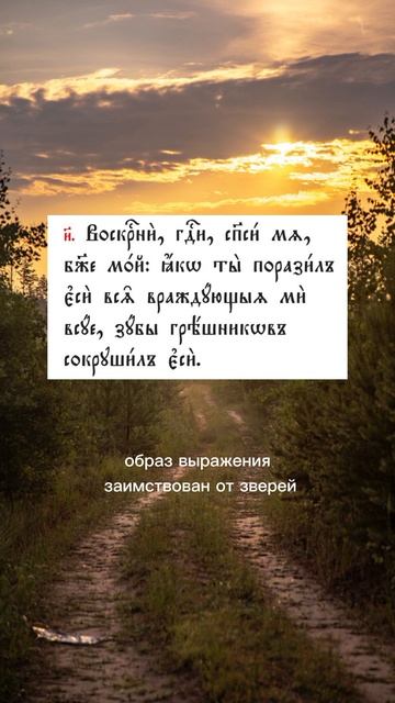 #молитва#перевод
https://t.me/pervuyuknigufeofil