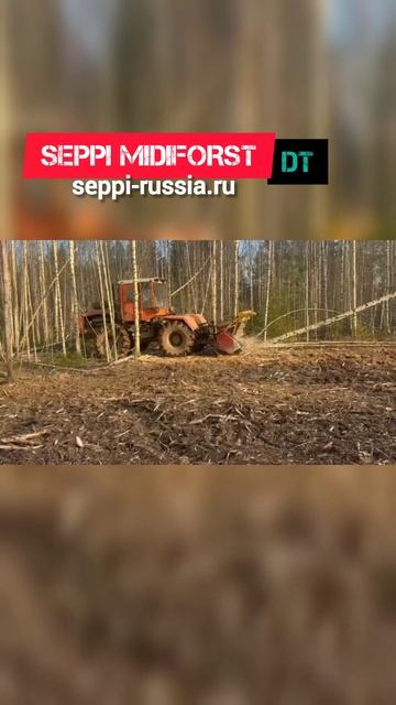 Создание противопожарной полосы. Расчистка участка мульчером SEPPI MIDIFORST dt