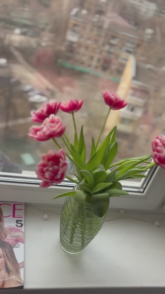 Голуби