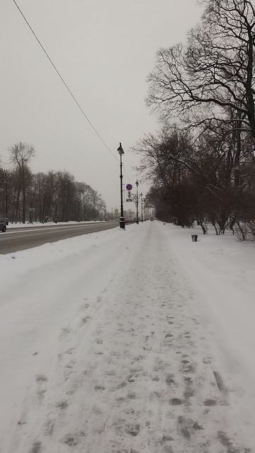 Иду мимо Александровского парка, Петербург. 12 декабря 2023.