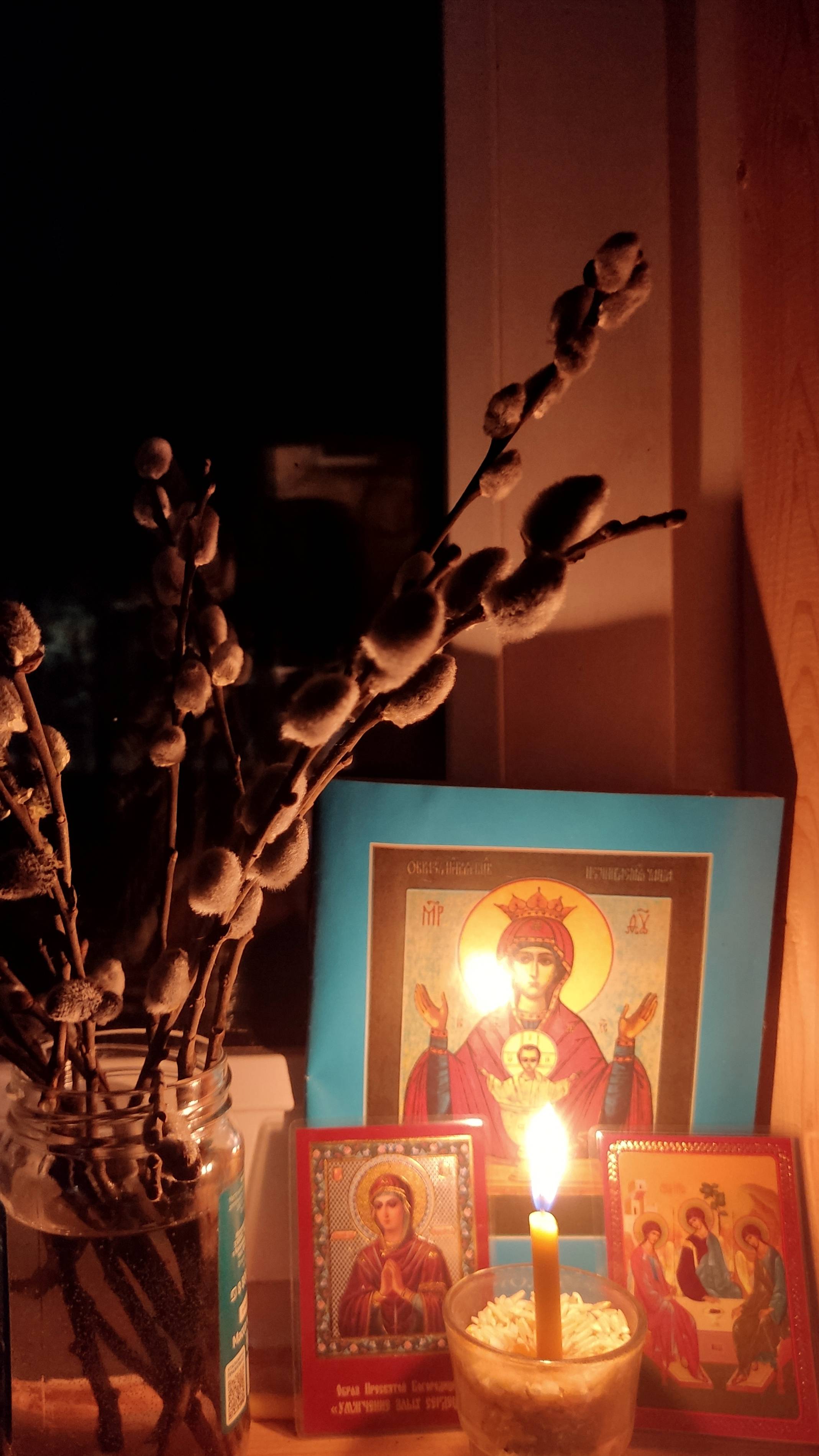 Богородице Дево, радуйся🙏Ночная молитва✨Большие Дворы #Подмосковье 31.04.2025