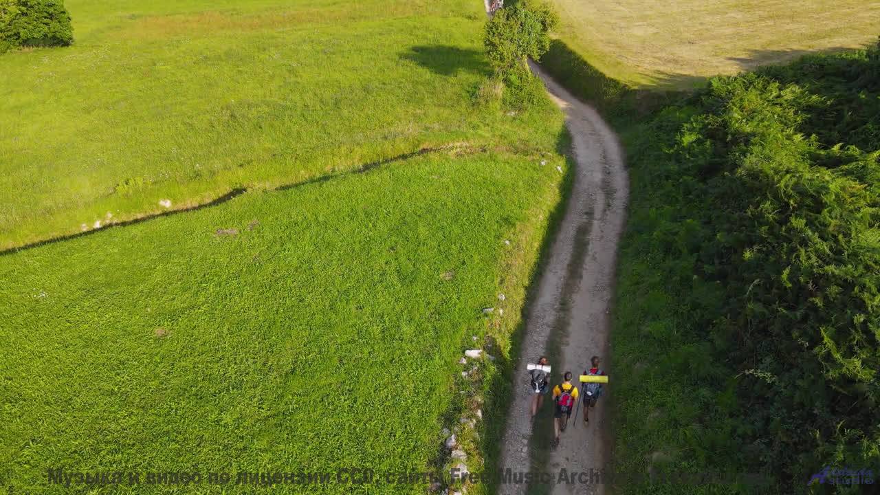 Музыка качает леса, словно волны на море - Its Time -- Jeremy Allingham -- Run Wild