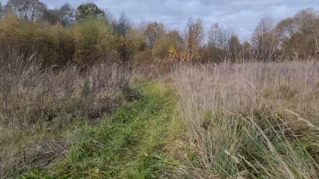 Купили домик, чтобы жить на пенсии. Ремонт крыши и отмостка #хочувдеревню #хутор