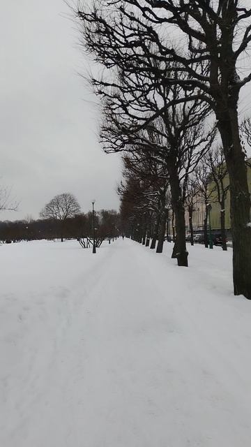 Марсово поле, Петербург. 12 декабря 2023.