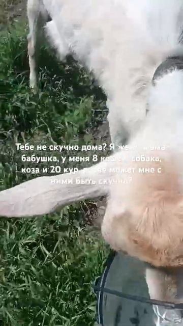 1000587583.mp4