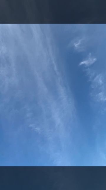 1000308729.mp4