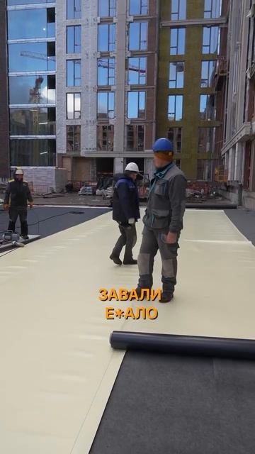 Забавные Видео