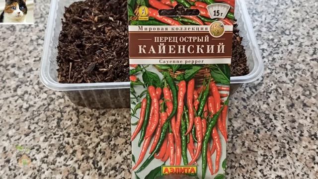 Как Сажать Острый Перец на Рассаду. Когда Сеять Кайенский Перец Семенами