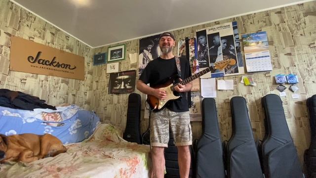 Играю для Графа (собака).