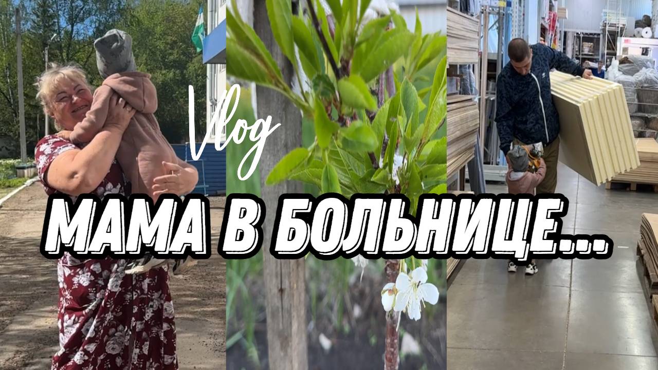 VLOG: Едем к МАМЕ/Как ее ЗДОРОВЬЕ/Что СЛУЧИЛОСЬ/покупки ДЛЯ ДОМА/Зацвел САД