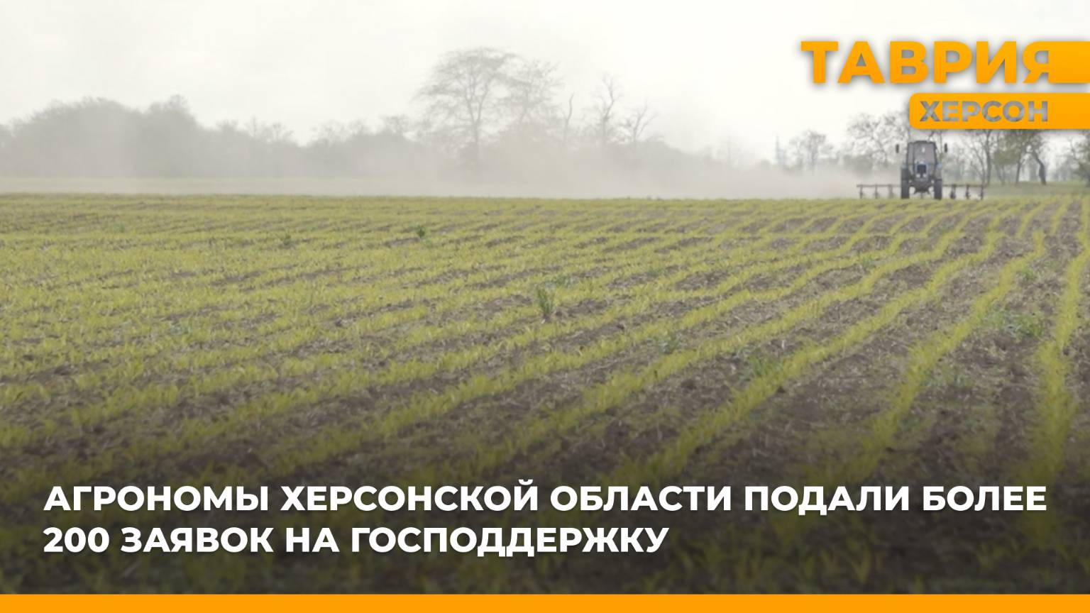 Агрономы Херсонской области подали более 200 заявок на господдержку
