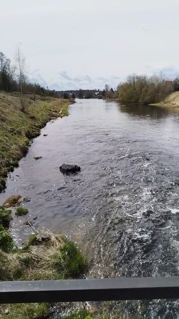 VID_20250515_124236.mp4