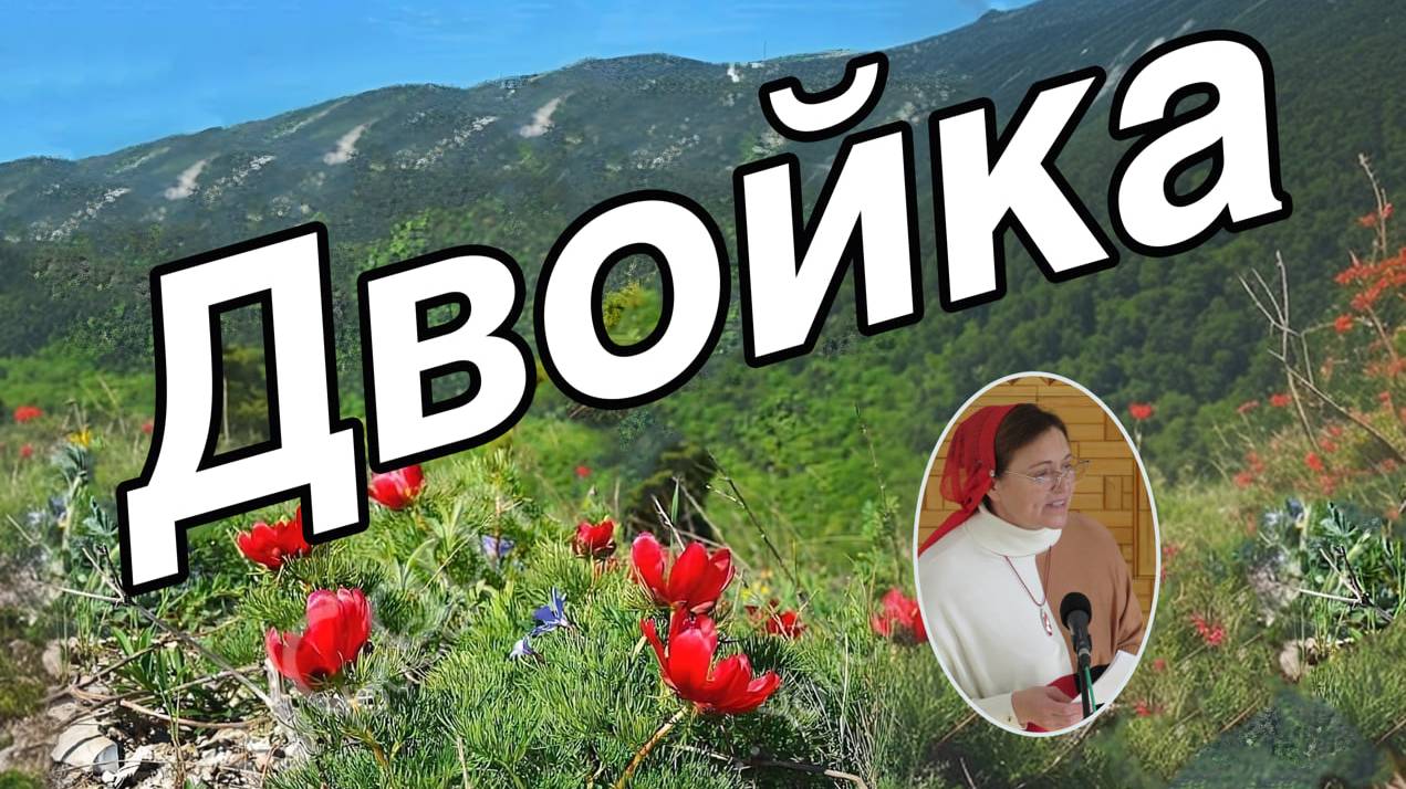 Двойка.  рассказ для детей