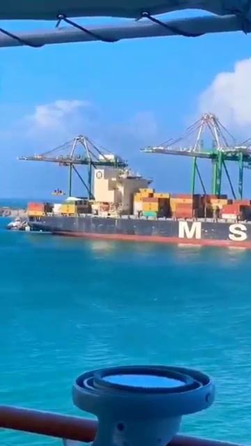 Mafia logo ka 400 Meter container ship☠️🛳️ #trend #explore#réel #meta #merchantnavy #ship #containe
