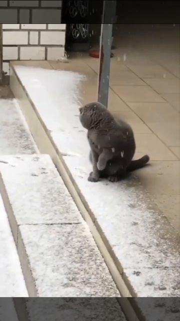 Мешок с картошкой #19