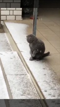 Мешок с картошкой #19