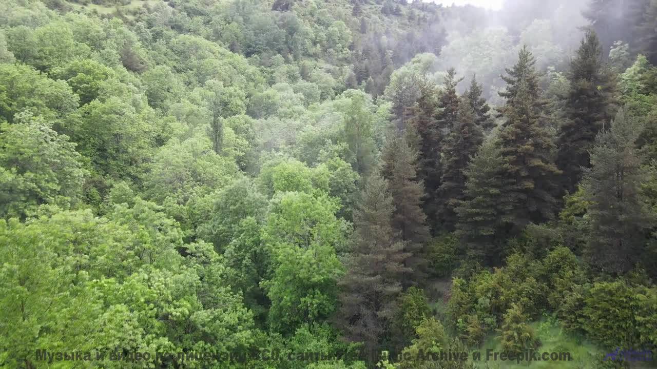 Зачем искать больше Вот оно! - Forte -- Ketsa -- Summer With Sound