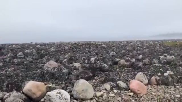 5-ый арктический фестиваль