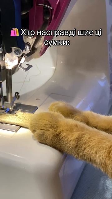 #кот#сумкаженская #сумкаизшнура