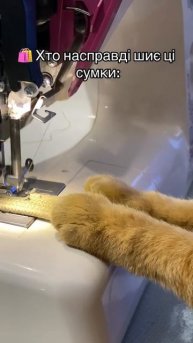 #кот#сумкаженская #сумкаизшнура