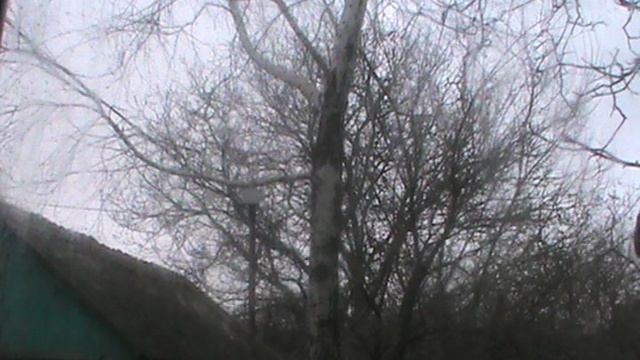 РусАвтпесня -Ах вы белые берёзы