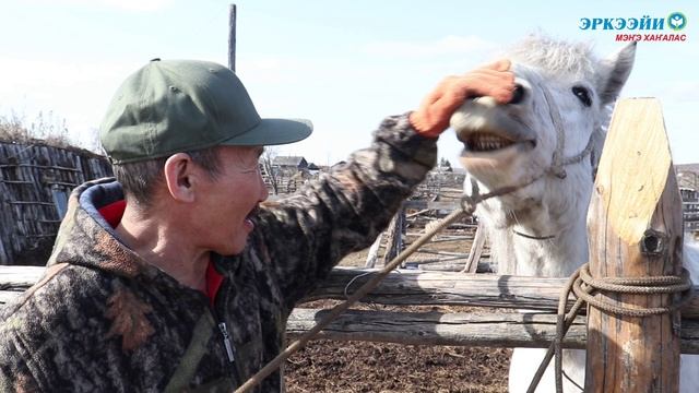 «Тыа сиригэр үлэ суох буолбатах, олорбокко үлэлиэххэ эрэ наада…»