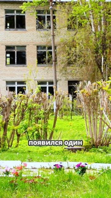Как под Москвой стояли ядерные ракеты для защиты города