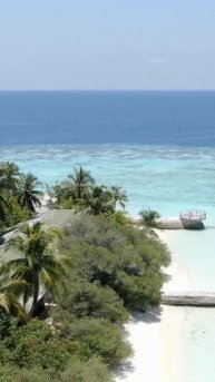 -3766817153505994416