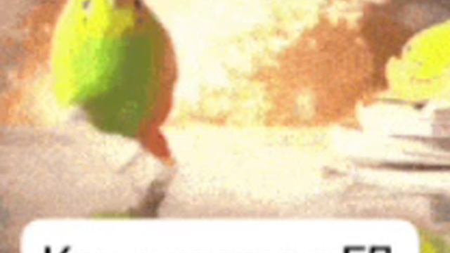 5 ночей с Тимохой армия-2 часть вышла.