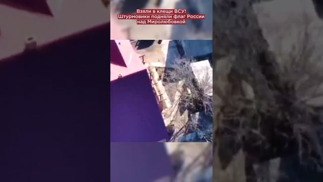 Взяли в клещи ВСУ! Штурмовики подняли флаг России над Миролюбовкой