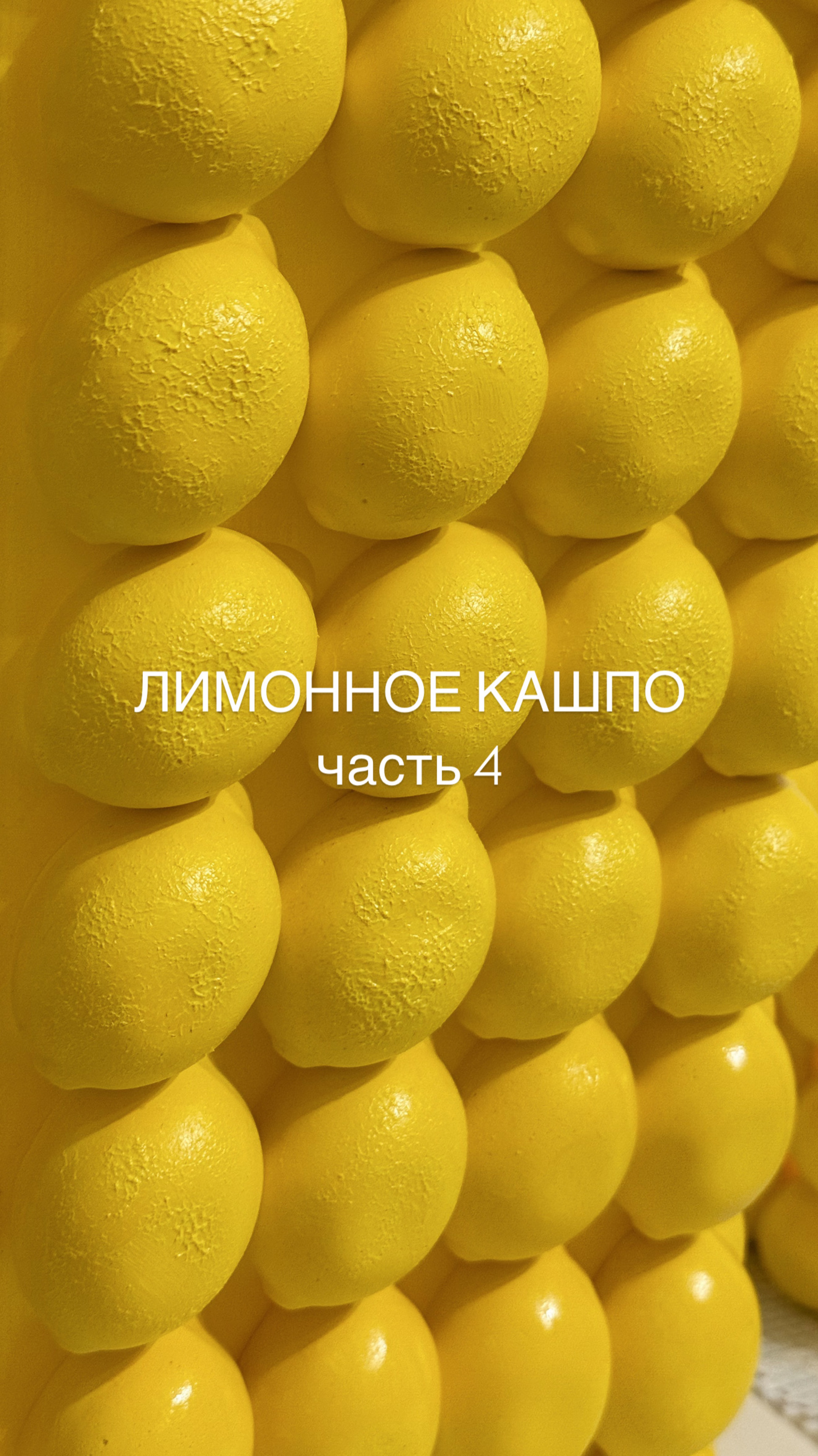 Делаю лимонное кашпо