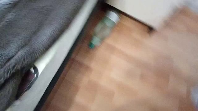 24 часа с мягкой в тюрьме🐈⬛