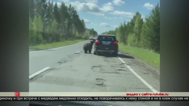 Небезопасные встречи 14.05.2025