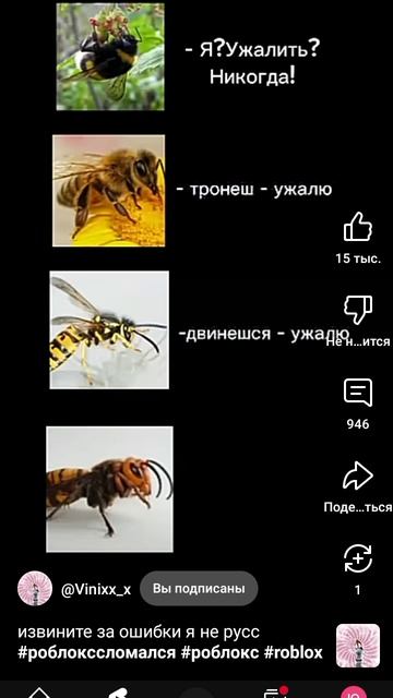 бегите я конченный бегите