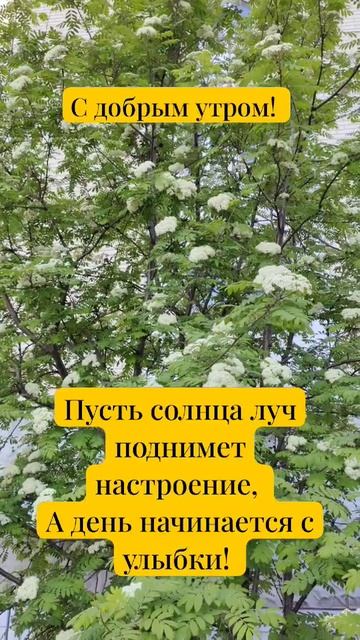 Доброго утра! Солнышко и тепла.