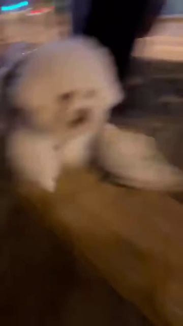 *****