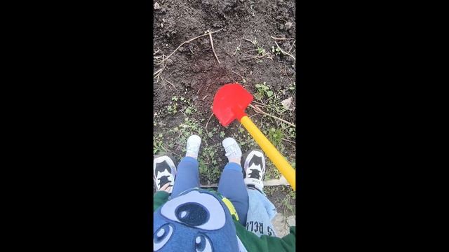 гуляем с Марком