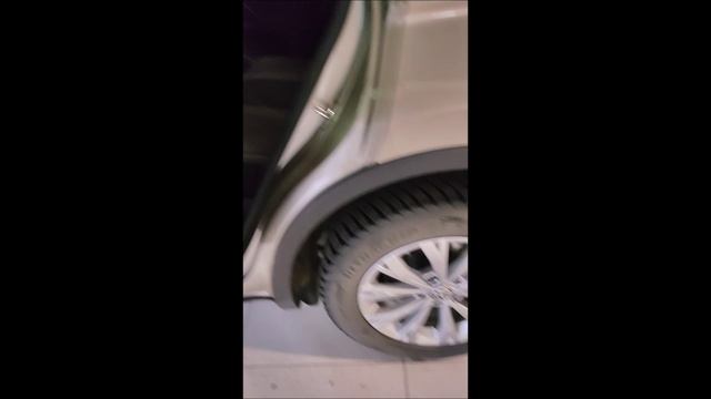 Volkswagen Tiguan «АВТОРУСЬ автомобили с пробегом» 2550