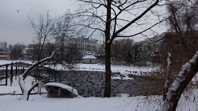 20161204_094332