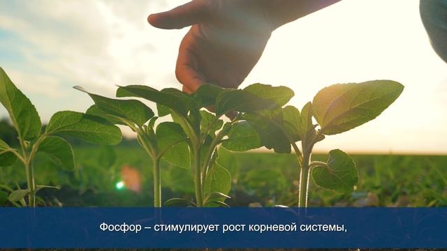 С Днём химика!