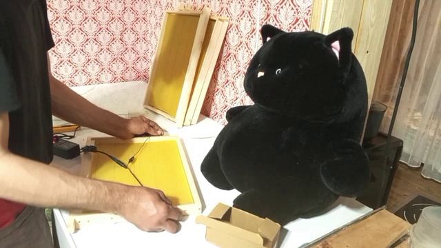 Электронаващеватель  или тестируем прибор с озон . 🤔