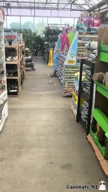 Подпишись 👉 https://vk.com/ykrasheniy_iz_kamny