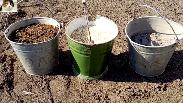 Как правильно сажать картошку на какую глубину и на каком расстояние