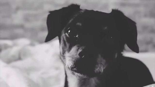 я Люблю Люси❤