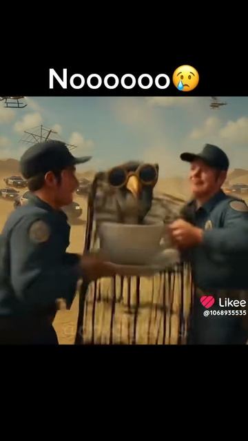 рулит рулю поймали