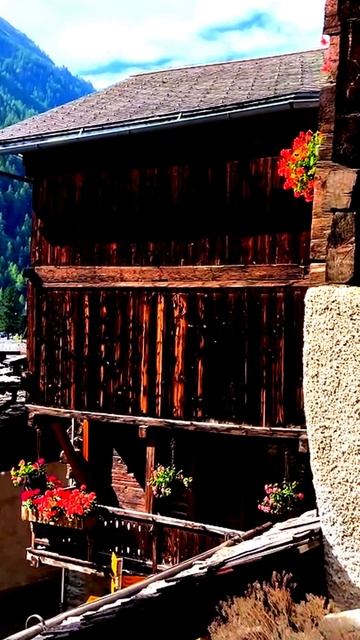 Камера в действии