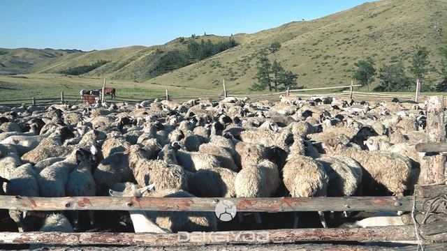 Тыва / Республика Тыва