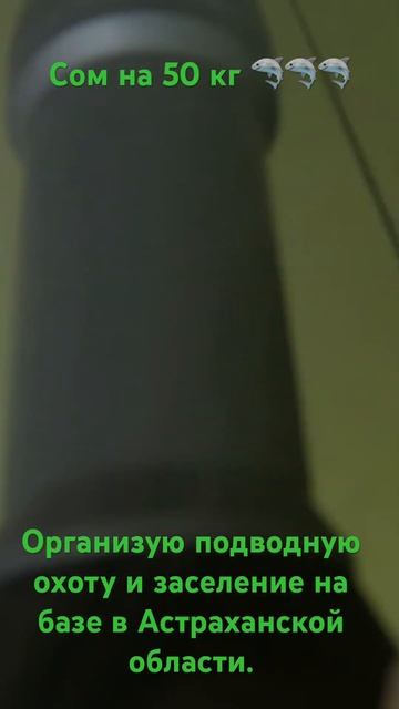 Январский трофей в Астраханской области. На 50кг краса?