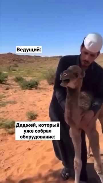 Жизненно #ведущаямосква #ведущийнасвадьбумосква #свадьба2025 #свадьба