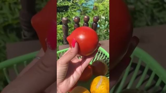 Южные вкусняшки 🍅🍅🍅🍈🍈🍈